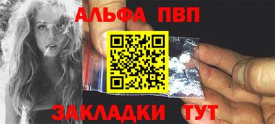 стаф Новокубанск
