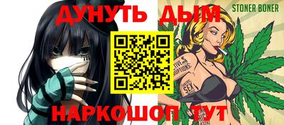 стаф Новокубанск