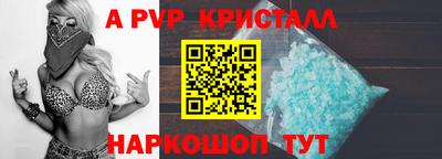 стаф Новокубанск