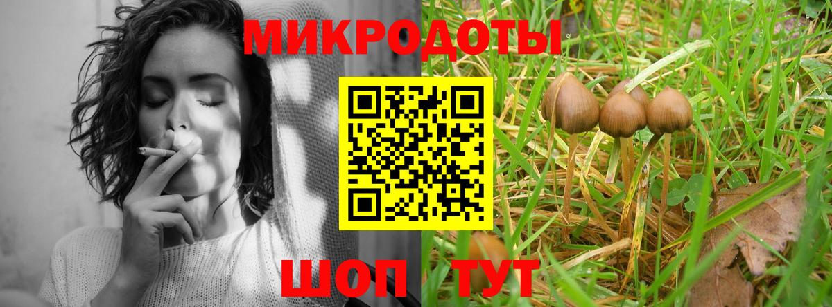 Галлюциногенные грибы мухоморы Строитель