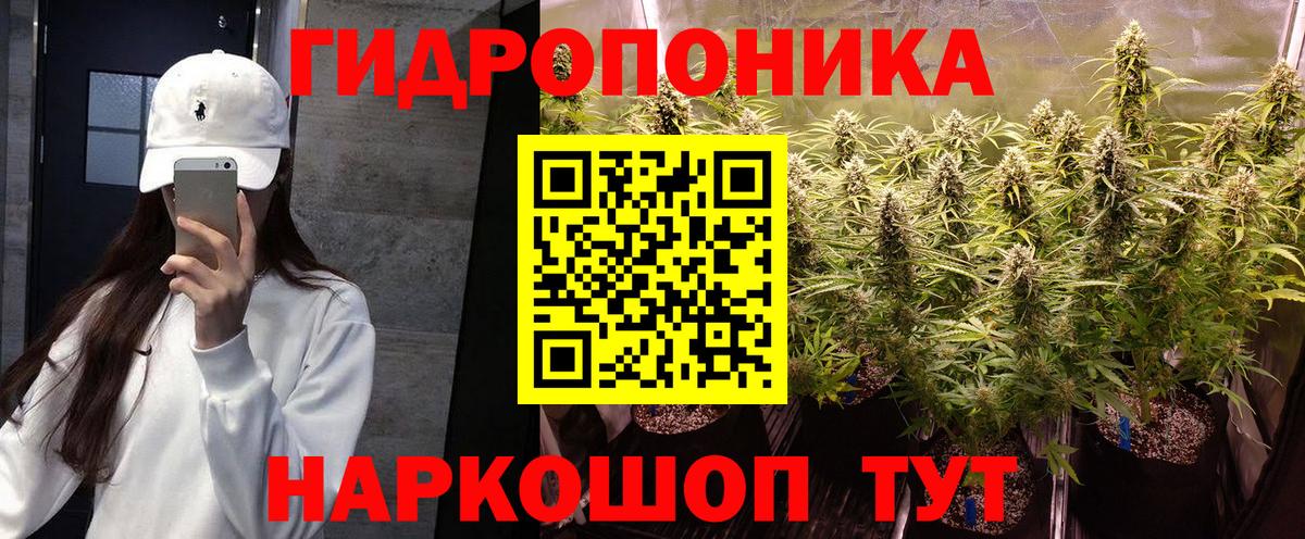 Каннабис конопля  Вход с VPN  Бошки марихуана Amnesia  Бошки марихуана семена  Строитель 